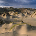 the album cover for White Manna - Dune Worship