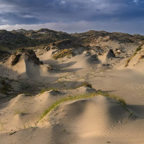 the album cover for White Manna - Dune Worship