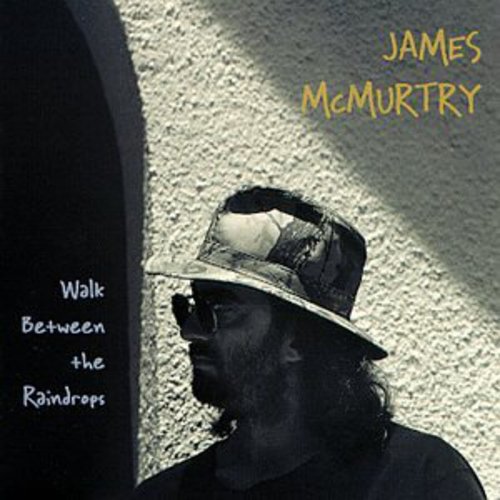 the album cover for James McMurtry - Walk Between the Raindrops