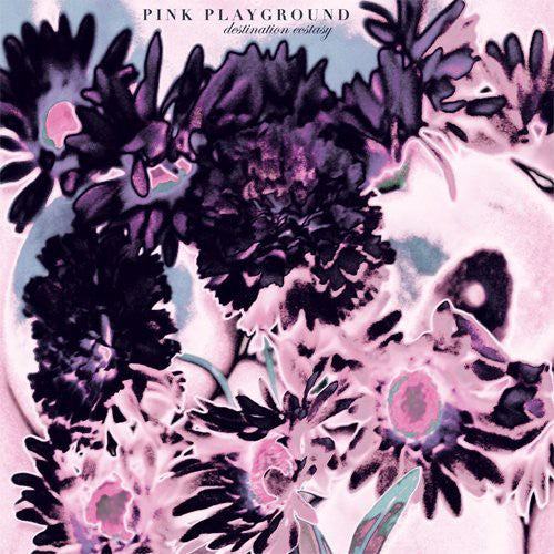 the album cover for Pink Playground - Destination Ecstasy