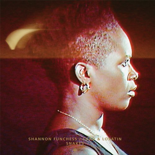 the album cover for Ford & Lopatin / Shannon - Snakes / Flying Dream