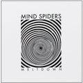 the album cover for Mind Spiders - Meltdown