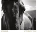 the album cover for Capercaillie - At the Heart of It All