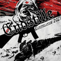 the album cover for Endstille - Kapitulation 2013