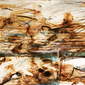 the album cover for Solstafir - i Blooi Og Anda [In Blood and Spirit - 2002]