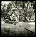 the album cover for Thomas Fehlmann - Eye/Tree