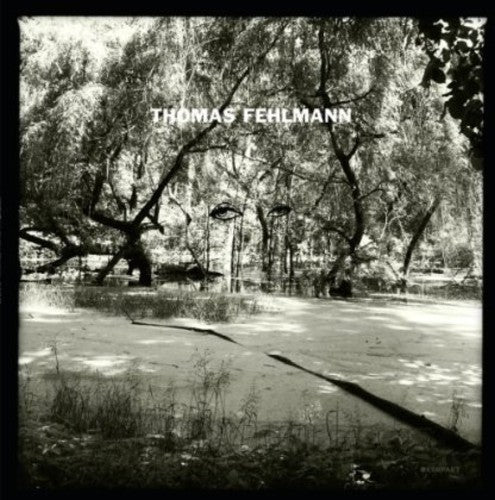 the album cover for Thomas Fehlmann - Eye/Tree