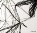 the album cover for Exivious - Liminal