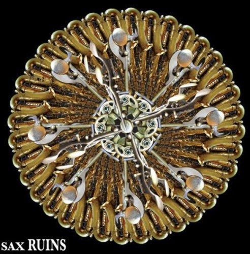 the album cover for Sax Ruins - Blimmguass