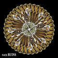 the album cover for Sax Ruins - Blimmguass
