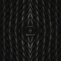 the album cover for Phosphor - Youth & Immortality