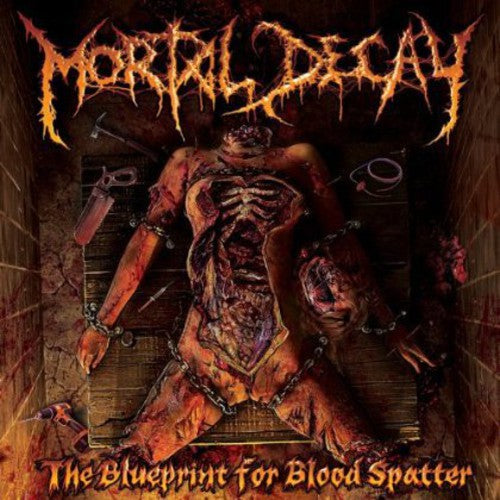 the album cover for Mortal Decay - The Blueprint For Blood Splatter