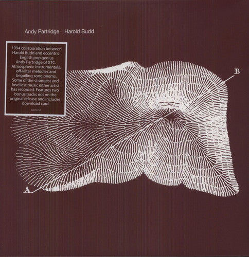 the album cover for Andy Partridge & Harold Budd - Through the Hill