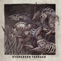 the album cover for Evergreen Terrace - Dead Horses