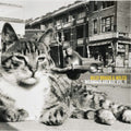 the album cover for Billy Bragg - Mermaid Avenue Vol. 2 [Vinyl]