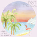 the album cover for James Vincent McMorrow - Post Tropical