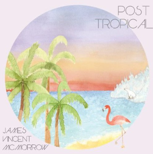 the album cover for James Vincent McMorrow - Post Tropical