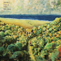 the album cover for Mick Turner - Don't Tell the Driver