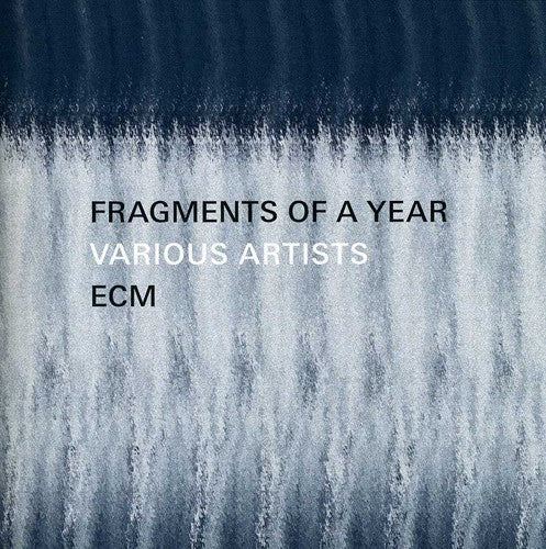 the album cover for Fragments Of A Year - Fragments of a Year / Various