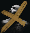 the album cover for Chris Brown - X [Deluxe]