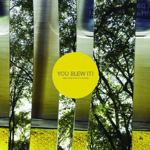 the album cover for You Blew It! - Keep Doing What You're Doing [Vinyl]
