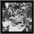 the album cover for Gabriel Saloman - Soldier's Requiem