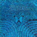 the album cover for Santana - Borboletta