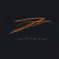 the album cover for Andrew Bird - I Want To See Pulaski At Night