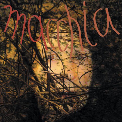 the album cover for Limpe Fuchs & Christoph Heemann/Timo Van Luijk - Macchia Forest