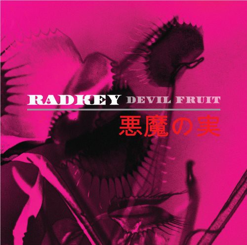 the album cover for Radkey - Devil Fruit [Vinyl]