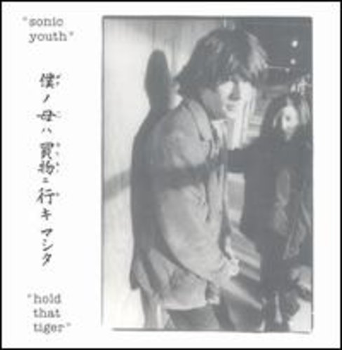 the album cover for Sonic Youth - Hold That Tiger