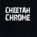 the album cover for Cheetah Chrome - Solo