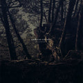 the album cover for American Heritage - Sedentary