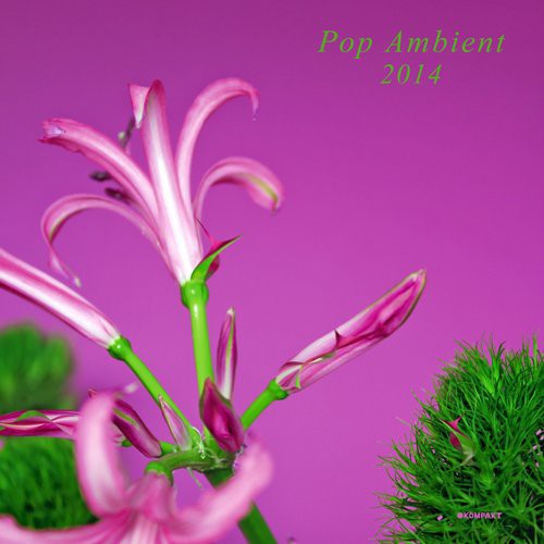 the album cover for Pop Ambient 2014 - Pop Ambient 2014 / Various