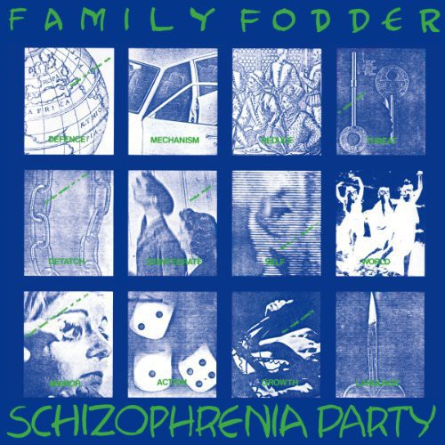 the album cover for Chicago Damn - Schizophrenia Party (Director's Cut)