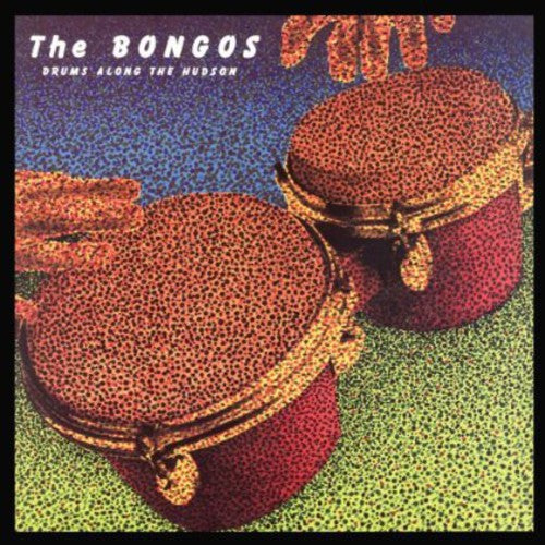 the album cover for Bongos - Drums Along the Hudson