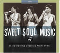 the album cover for 24 Scorching Classics From 1975 / Var - 24 Scorching Classics From 1975 / Var