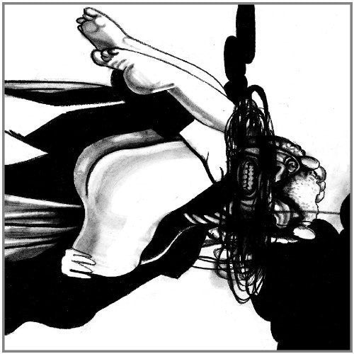 the album cover for Loose Fur - Born Again In The Usa