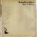 the album cover for Babyshambles - Down in Albion
