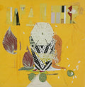 the album cover for Japanther - Beets, Limes and Rice