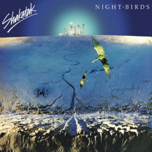 the album cover for Shakatak - Night Birds