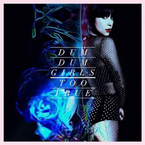 the album cover for Dum Dum Girls - Too True