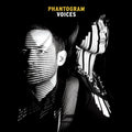 the album cover for Phantogram - Voices