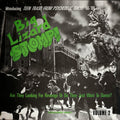 the album cover for Big Lizard Stomp! Teen Trash From Psychedelic Tok - Big Lizard Stomp 2: Teen Trash from / Various