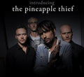 the album cover for The Pineapple Thief - Introducing...