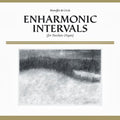 the album cover for Mamiffer & Circle - Enharmonic Intervals (For Paschen Organ)