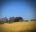 the album cover for Sun Kil Moon - Benji