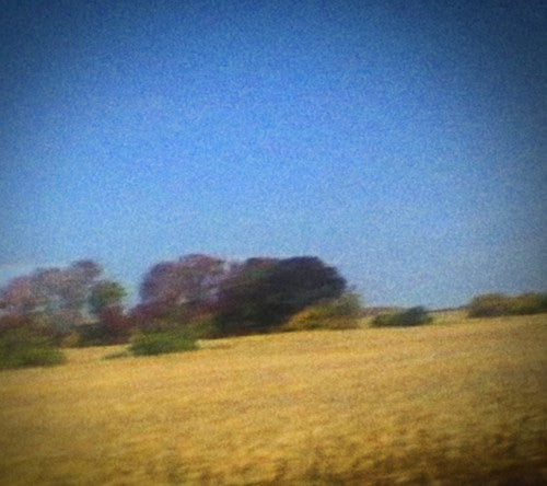 the album cover for Sun Kil Moon - Benji