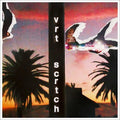 the album cover for Vertical Scratchers - Daughter Of Everything [Vinyl]