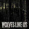 the album cover for Wolves Like Us - Black Soul Choir